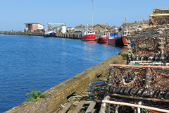 Amble-9