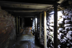 Beamish-May2023-10